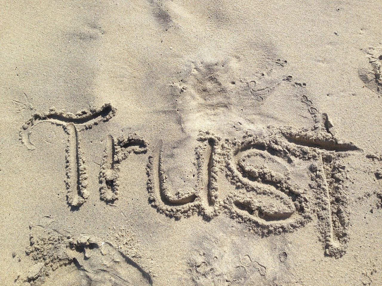 The Therapeutic Relationship